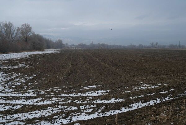 Будет снег, будет и пища