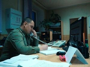 Вместо тигра пришла белка