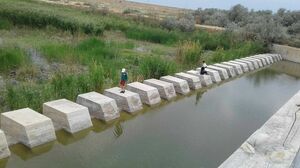 Не дать ему засохнуть