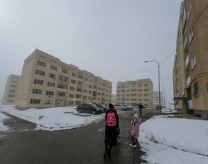 Аренда пополам