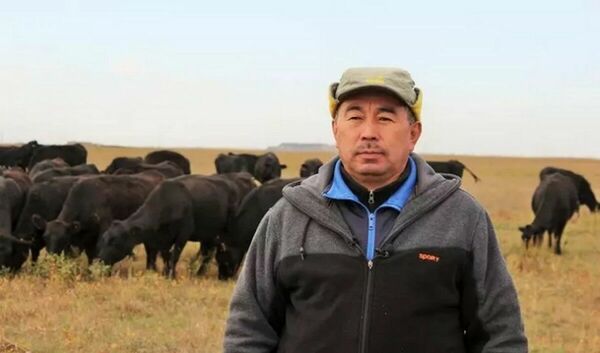 Ни скота, ни совести!