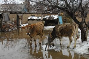 Кому грозит потоп?