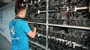 Нелегалов отключат