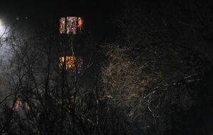 Держите вора!