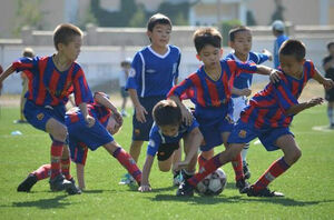 Выборы  с видимостью выбора