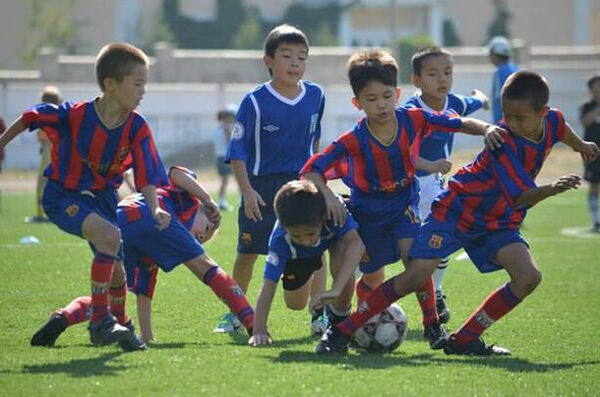 Выборы  с видимостью выбора