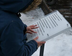 Шаги навстречу