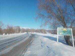 Чем дальше в лес, тем больше срок