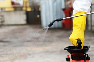 Пыль в глаза