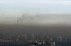 Как кость в горле