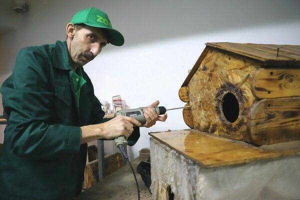 Особняк для суриката