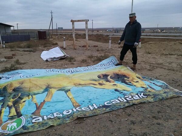 Одно яйцо в двух лукошках?