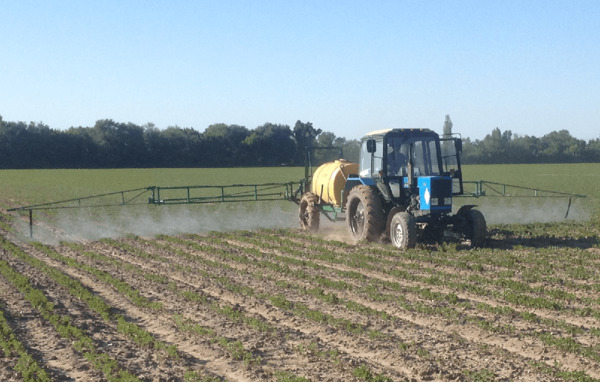 Дружба дружбой,  а под суд - врозь