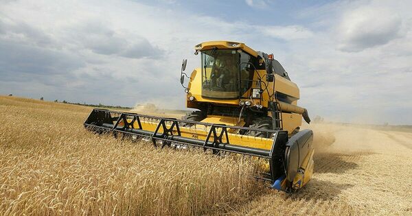 Глобальные последствия