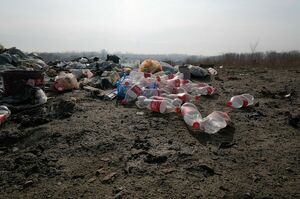 Деньги лежат под ногами