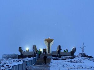 Сигнал весны