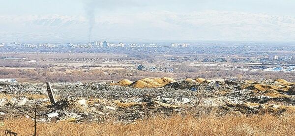 Заткните нос, зажмурьте глаза