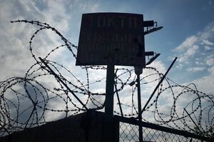 Шальная троица