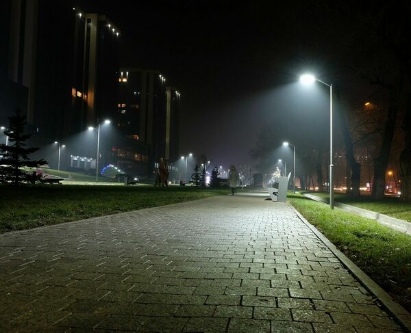 Из света в тень перелетая...