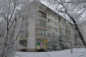 Дорогу ОСИлит идущий?