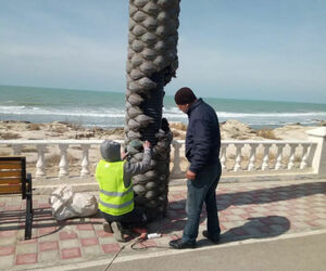 Отбить бы руки