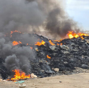 Клумбы бы делать из этих колёс