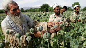 Прощай, одна десятая маковая часть ВВП!