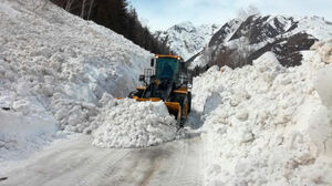 Снежная облава