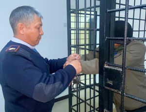 Доверяй, но подсчитай