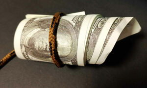 Фальшивки сбыть не удалось