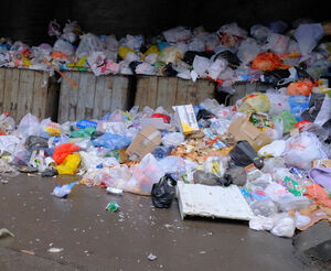 Что сгорит - не пропадёт