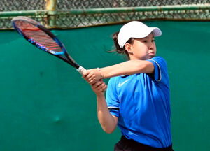 Начало положено