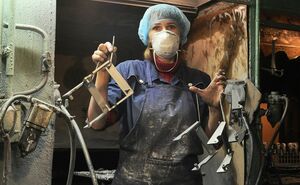 ВВП вернётся через 10 лет