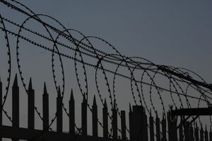 Семь лет без приговора