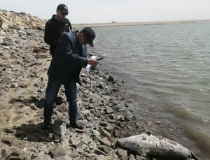 Вскрытие  не покажет