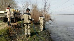 За комарьё взялись всерьёз