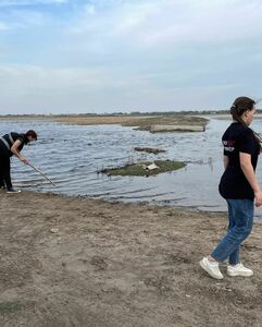 Просмотрели все глаза