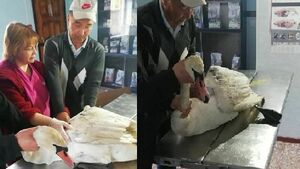 Небо пока отменяется