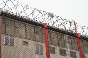 Следствие покажет...