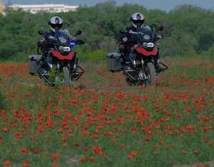 Байки в маках