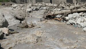 Дары паводка