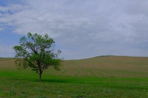 Солнечного удара не будет