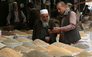 Зерновой коллапс: где выход?