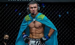 Следующий бой - титульный!