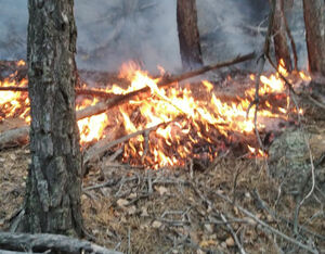 Удар молнии