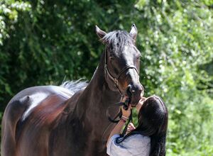 Держи меня, лошадка!