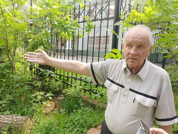 Деревья исчезают  в полночь