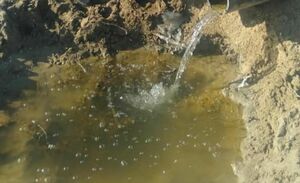 Пошли в отказ