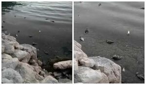 Попали в шторм?