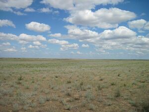 Пресс-тур с шумом  и пылью